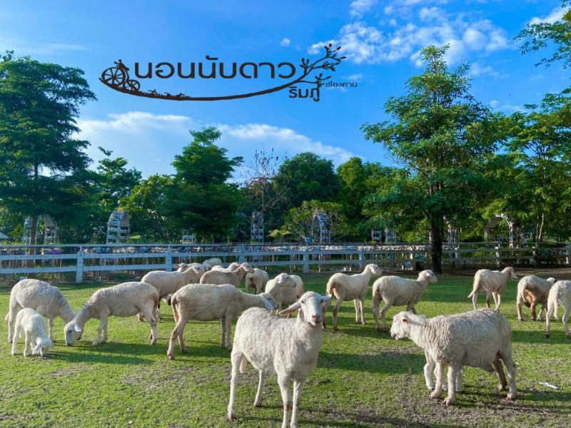 Norn Nab Dao Rimphu Resort Chiang Khan Buitenkant foto