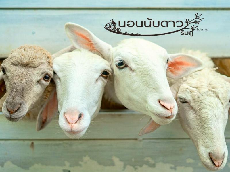 Norn Nab Dao Rimphu Resort Chiang Khan Buitenkant foto